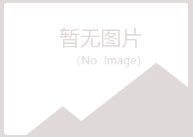 黄山屯溪向珊金属有限公司